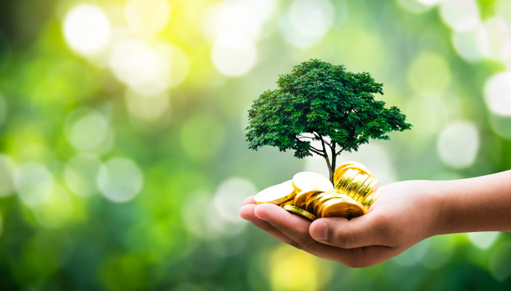 produits recyclés, du mobilier de seconde main (permettant notamment une customisation), des matériaux de qualité, des peintures naturelles dans un souci écologique et sanitaire pour votre décoration d'intérieur